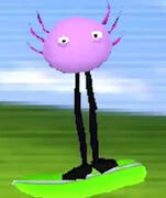 KinitoPet
